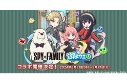 「SPY×FAMILY」アーニャ、ロイド、ヨルら録りおろしボイスも!パズルRPG「ぷよクエ」内でコラボ開催 画像