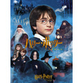 (C) 2021 Warner Bros. Ent. All Rights Reserved. Wizarding WorldTM Publishing Rights (C) J.K. Rowling WIZARDING WORLD and all related characters and elements are trademarks of and (C) Warner Bros. Entertainment Inc.